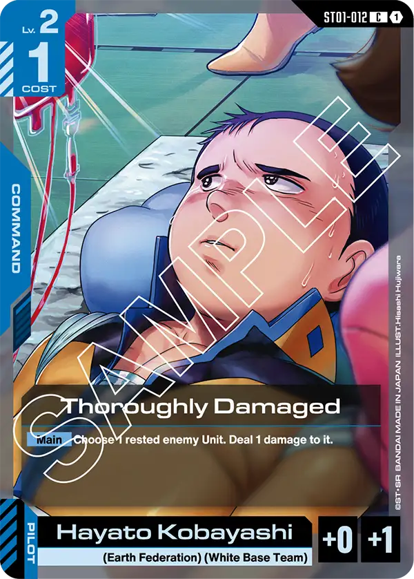 Thoroughly Damaged card
