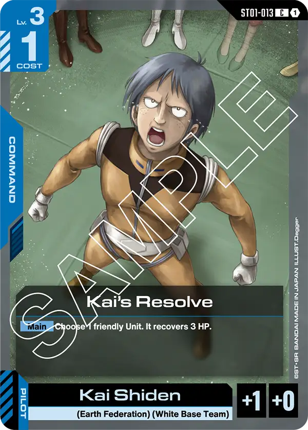 Kai's Resolve card