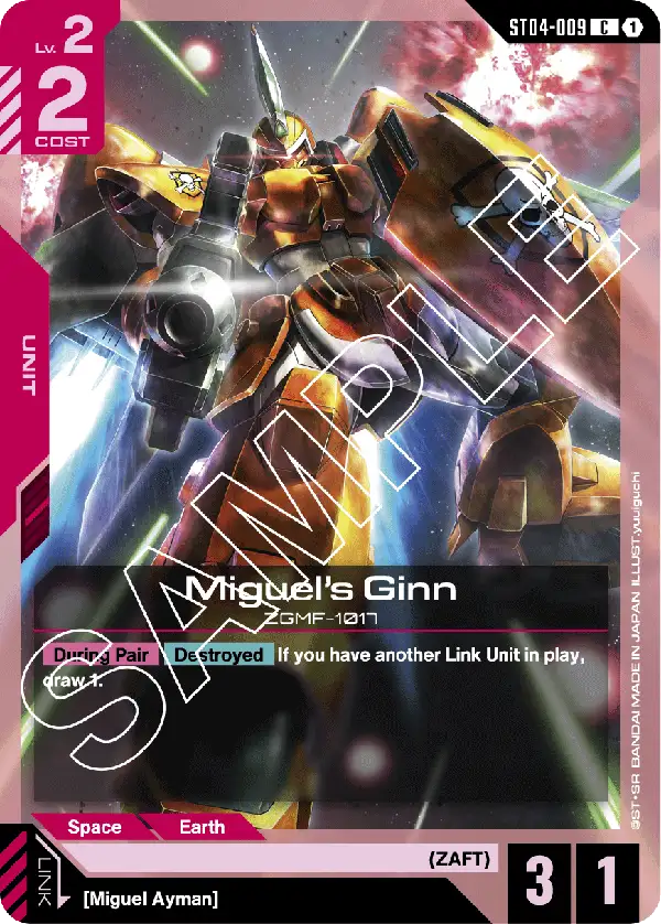 Miguel's Ginn card